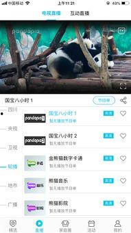 在线视频直播看不来,无法亲临现场的精彩瞬间