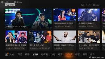 极品国产资源在线视频,揭秘国产资源在线视频的精彩世界