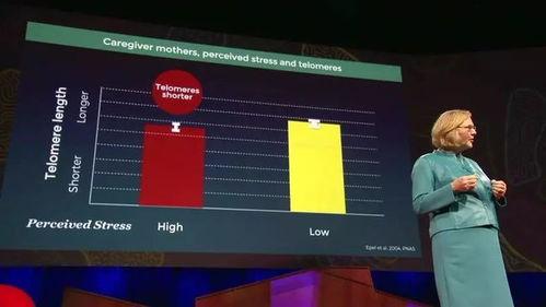 在线视频 永生不老
