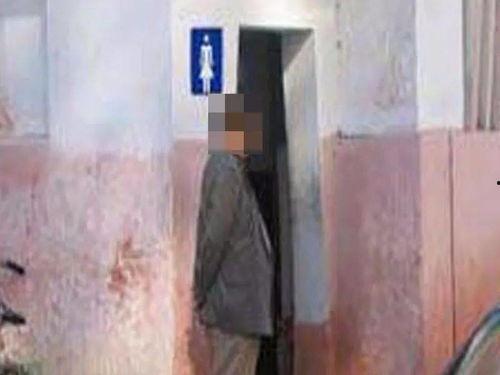 在线视频 女厕 一区,女厕一区的独特魅力