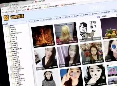 成人直播在线视频免费,免费体验背后的秘密