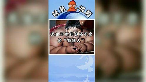 二区草莓在线视频,二区草莓在线视频深度解析