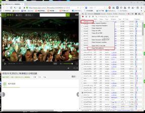 在线视频网站分析,流量密码与用户行为深度解析