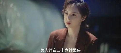 坏女人在线视频免费观看,免费观看坏女人在线视频的秘密世界